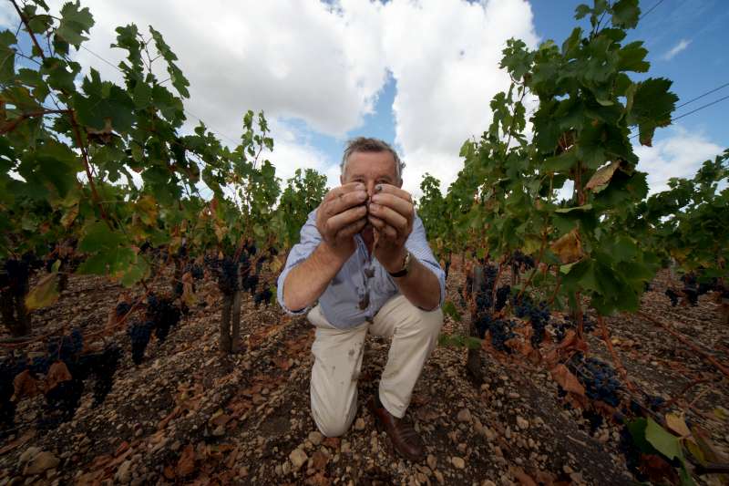 Jacques Thienpont amongst his vines within the terroir of Le Pin, the one thing Jacques Thienpont credits so highly in producing such an incredible wine. Jacques Thienpont holds the soil of the terroir in front of himself, and as it runs through his fingers it blends into him, showing the joining of the terrior and Jacques Thienpont in the making of Le Pin.
